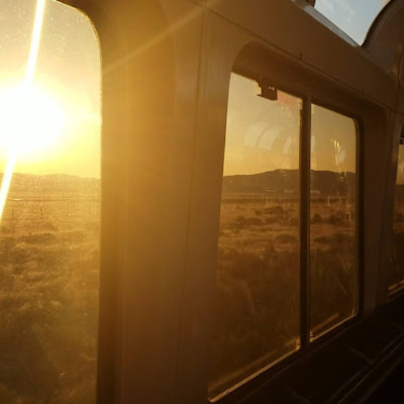 Meet your Posher, Carter - Picture 1 of 1